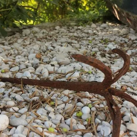 Ro-ela Gostinjska kuća